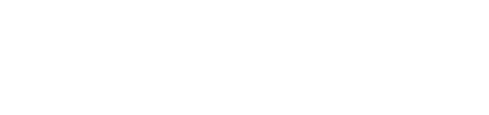 suranihomes